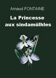 Arnaud Fontaine - La Princesse aux Sindamülhes