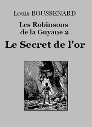Illustration: Les Robinsons de la Guyane 2 – Le Secret de l'or - Louis Boussenard