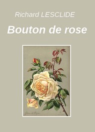 Illustration: Bouton de rose - Richard Lesclide