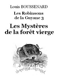 Illustration: Les Robinsons de la Guyane 3 – Les Mystères de la forêt vierge - Louis Boussenard