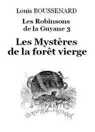 Illustration: Les Robinsons de la Guyane 3 – Les Mystères de la forêt vierge - Louis Boussenard