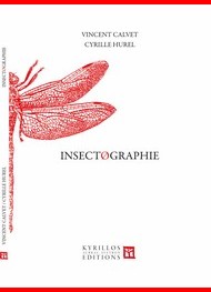 Illustration: Insectographie - Calvet Vincent 