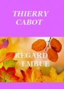 Thierry Cabot: Regard embué