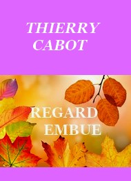 Illustration: Regard embué - Thierry Cabot