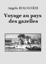 Illustration: Voyage au pays des gazelles - Angelo Bolognesi