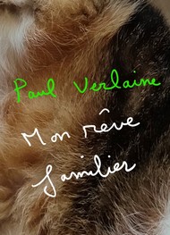 Illustration: Mon rêve familier - paul verlaine