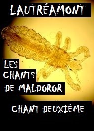 Illustration: Les Chants de Maldoror-Chant deuxième - Isidore Ducasse