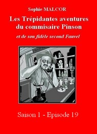 Illustration: Les Trépidantes Aventures du commandant Pinson-Episode 19 - Sophie Malcor