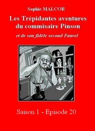 Illustration: Les Trépidantes Aventures du commandant Pinson-Episode 20 - Sophie Malcor