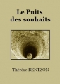 Livre audio: Thérèse Bentzon - Le Puits des souhaits (conte de Noël)