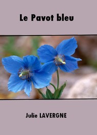 Illustration: Le Pavot bleu - Julie Lavergne