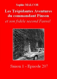 Illustration: Les Trépidantes Aventures du commandant Pinson-Episode 207 - Sophie Malcor