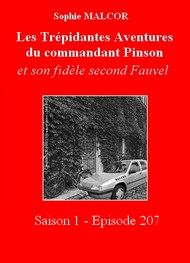 Sophie Malcor - Les Trépidantes Aventures du commandant Pinson-Episode 207