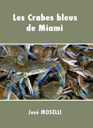 Illustration: Les Crabes bleus de Miami - José Moselli