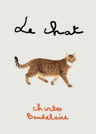 Illustration: Le Chat - Charles Baudelaire