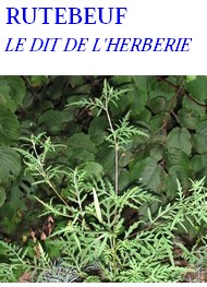 Illustration: Le Dit de l'Herberie - Rutebeuf