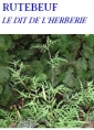 Livre audio: Rutebeuf - Le Dit de l'Herberie
