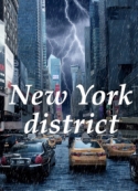 Christina Schwab: New York District