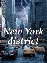 Illustration: New York District - Christina Schwab