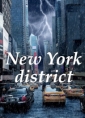 Livre audio: Christina Schwab - New York District