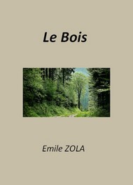 Illustration: Le Bois - Emile Zola