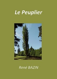 Illustration: Le Peuplier - René Bazin