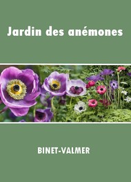 Illustration: Jardin des anémones - Binet-Valmer