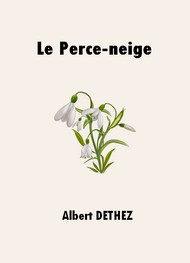 Illustration: Le Perce-neige - Albert Dethez