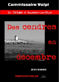 Jean Darrig - Des cendres... en décembre