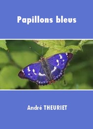 André Theuriet - Papillons bleus