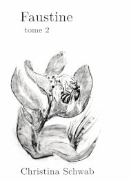 Illustration: Faustine à l'aventure (tome 2) - Christina Schwab