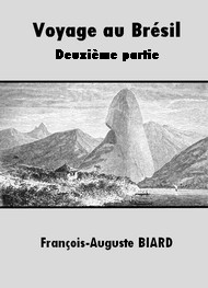 Illustration: Voyage au Brésil  -  Deuxième partie - François auguste Biard