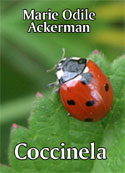 Marie Odile Ackermann: Coccinela