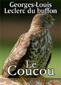 leclerc-de-buffon-le-coucou