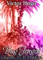 Livre audio: victor hugo - Bug-Jargal Chap35-39