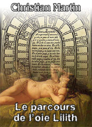 Illustration: Le parcours de l'oie Lilith - christian martin