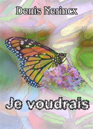 Illustration: Je voudrais - denis nerincx (musique vinc2)