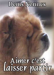 Illustration: Aimer c'est laisser partir - denis nerincx