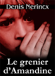 Illustration: Le grenier d'Amandine - denis nerincx