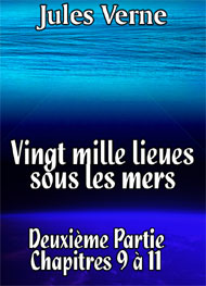 Illustration: Vingt mille lieues sous les mers Chap33-35 - Jules Verne