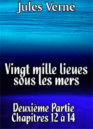Illustration: Vingt mille lieues sous les mers Chap36-38 - Jules Verne