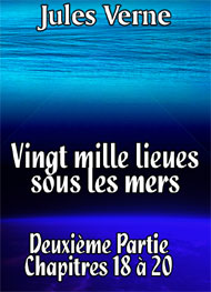 Illustration: Vingt mille lieues sous les mers Chap42-44 - Jules Verne