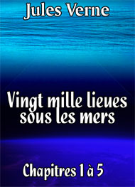 Illustration: Vingt mille lieues sous les mers Chap1-5 - Jules Verne
