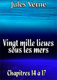 Illustration: Vingt mille lieues sous les mers Chap14-17 - Jules Verne
