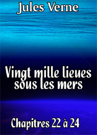Illustration: Vingt mille lieues sous les mers Chap22-24 - Jules Verne