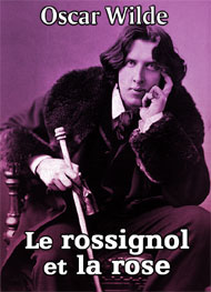 Illustration: Le rossignol et la rose - oscar wilde