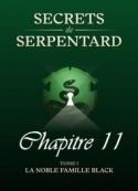 Mathilde Vouin: Secrets de Serpentards-Tome 1 Chapitre 11