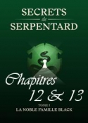 Mathilde Vouin: Secrets de Serpentards-Tome 1 Chapitres 12 & 13