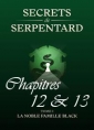 Livre audio: Mathilde Vouin - Secrets de Serpentards-Tome 1 Chapitres 12 & 13