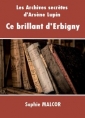 Livre audio: Sophie Malcor - Ce brillant d'Erbigny